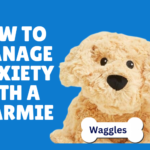 Review: Stuffed Warmies and how they can help Autistic Adults self Regulate and manage anxiety